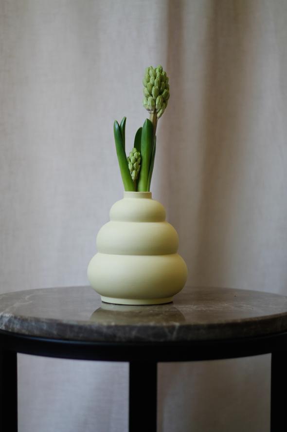 Vaas Meringue Lemon
